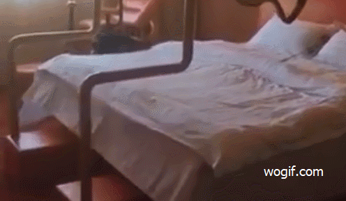古代“情趣酒店”全自動搖床，只賣18周歲+（GIF）
