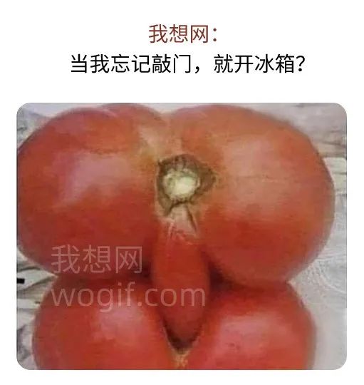 當我開冰箱，忘記敲門，倆西紅柿干起來了...